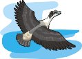 000803_1090_2167_vuvv.wmf