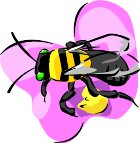 000803_1089_9789_vuvv.wmf