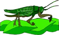 000803_1089_8232_vuvv.wmf