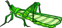 000803_1089_8237_vuvv.wmf