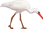 000803_1089_4091_vuvv.wmf