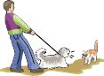000803_1089_4755_vuvv.wmf