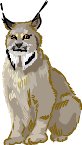 000803_1088_6577_vuvv.wmf