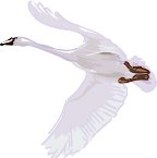 000803_1088_6578_vuvv.wmf