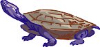 000803_1088_6579_vuvv.wmf