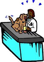 000803_1088_3228_vuvv.wmf