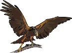 000803_1087_9132_vuvv.wmf