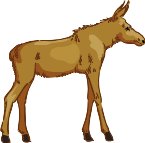 000803_1087_9139_vuvv.wmf