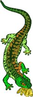 000803_1086_8056_vuvv.wmf
