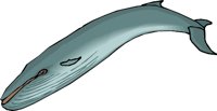 G0202591.WMF