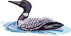 000803_1086_4225_vuvv.wmf