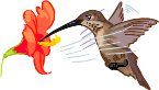 000803_1086_4227_vuvv.wmf