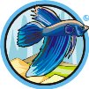 000803_1086_4797_vuvv.wmf