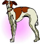 000803_1085_3273_vuvv.wmf