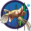 000803_1080_3546_vuvv.wmf