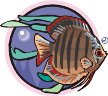 000803_1080_3549_vuvv.wmf