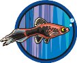 000803_1080_3555_vuvv.wmf