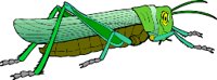000803_1080_2002_VuvV.wmf