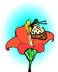 000803_1080_2215_VuvV.wmf