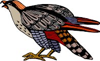000803_1080_2640_VuvV.wmf