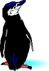 000803_1080_2774_VuvV.wmf