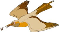 000803_1080_2885_VuvV.wmf
