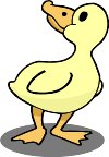 000803_1080_2940_VuvV.wmf
