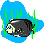 000803_1080_2944_VuvV.wmf
