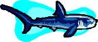 000803_1080_2947_VuvV.wmf