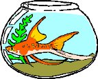 000803_1080_2955_VuvV.wmf