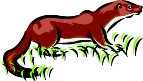 000803_1080_1044_VuvV.wmf