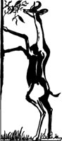 000803_1080_0864_VuvV.wmf