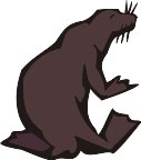 000803_1075_9641_vuvv.wmf