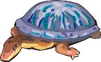000803_1075_2364_vuvv.wmf