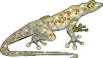 000803_1075_2373_vuvv.wmf