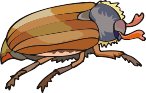 000803_1074_4972_vuvv.wmf