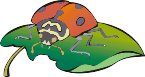 000803_1074_3942_vuvv.wmf