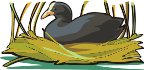 000803_1074_1338_vuvv.wmf