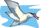000803_1074_1352_vuvv.wmf