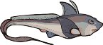 000803_1070_8084_vuvv.wmf
