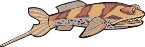 000803_1070_8085_vuvv.wmf