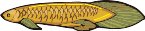 000803_1070_8094_vuvv.wmf