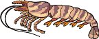 000803_1070_8132_vuvv.wmf