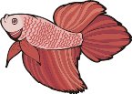 000803_1070_8136_vuvv.wmf