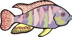 000803_1070_8147_vuvv.wmf