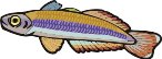 000803_1070_8159_vuvv.wmf