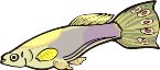 000803_1070_8163_vuvv.wmf
