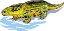 000803_1070_5034_vuvv.wmf