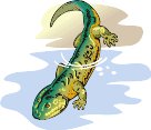 000803_1070_4948_vuvv.wmf