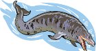 000803_1070_4954_vuvv.wmf